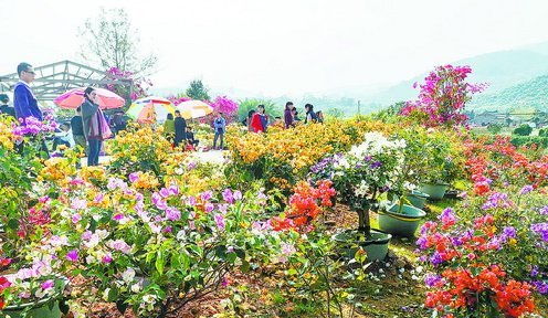 廈門(mén)加大扶持力度，力促休閑農(nóng)業(yè)與鄉(xiāng)村旅游成為旅游市場(chǎng)新熱點(diǎn)