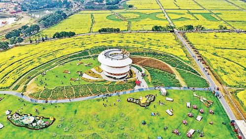 歡樂(lè)田園 廣東省休閑農(nóng)業(yè)與鄉(xiāng)村旅游示范點(diǎn)新亮點(diǎn)