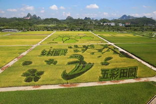 大力發(fā)展休閑農(nóng)業(yè)與鄉(xiāng)村旅游 推動農(nóng)業(yè)轉(zhuǎn)型升級與鄉(xiāng)村振興
