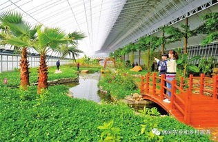 休閑農(nóng)業(yè)示范園 爭取政府支持的關(guān)鍵路徑與重點(diǎn)問題解決