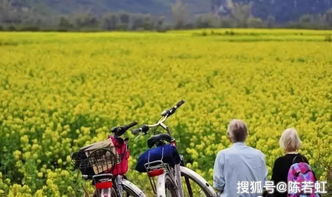 田園綜合體與休閑農(nóng)業(yè) 以精準(zhǔn)策劃驅(qū)動(dòng)可持續(xù)效益