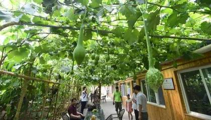 休閑農業成功五要素，你的項目具備幾條？
