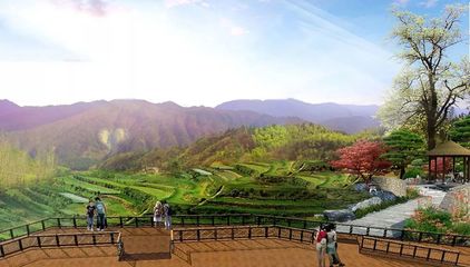 如何讓普通農業種植變成休閑農業旅游項目?