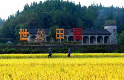 2019年鄉村振興戰略中鄉村產業的幾大工作要點——聚焦休閑農業