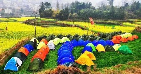 休閑農業 都市人的田園夢與養豬巨頭的新視角