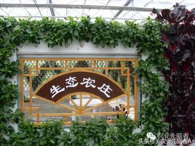 田園詩(shī)篇與產(chǎn)業(yè)共舞 打造成功休閑農(nóng)業(yè)觀光園的黃金法則