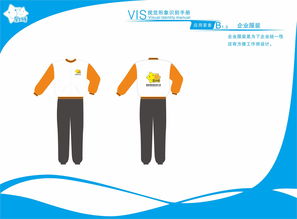 VI企業(yè)形象設(shè)計(jì)與企業(yè)形象策劃 構(gòu)筑品牌核心競爭力的雙翼